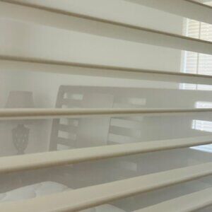 Hunter Douglas Silhouette and Honeycomb Shades